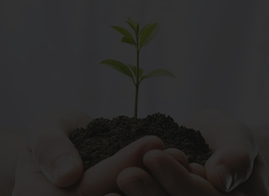 凯发k8·(中国)官网登录入口