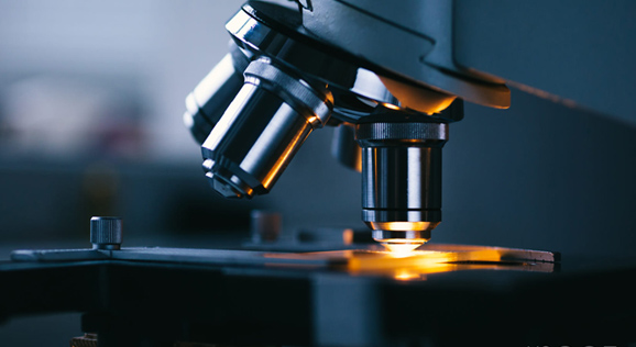 凯发k8·(中国)官网登录入口