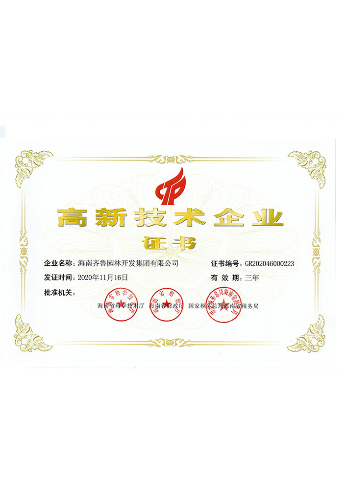 集团高新手艺企业证书
